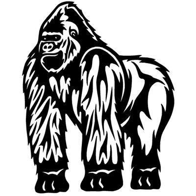 Gorilla